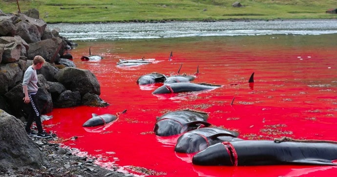 Bible Meer verwandelt ins Blut